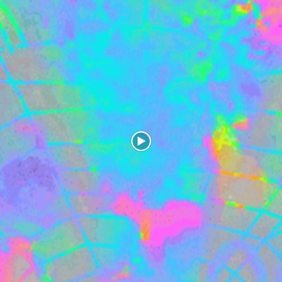 Meet your Posher, Maya - Picture 1 of 1